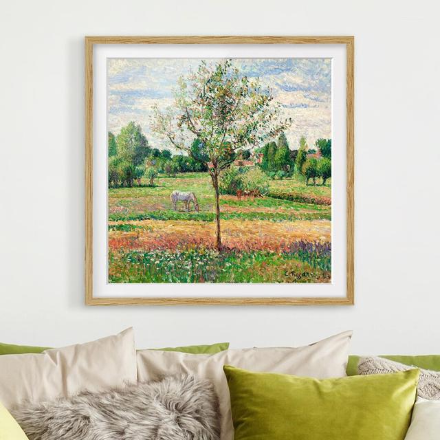 Gerahmtes Poster Mossy Meadow von Camille Pissarro East Urban Home Rahmen-Optionen: Natureiche, Größe: 50 cm H x 50 cm B x 2 cm T on Productcaster.