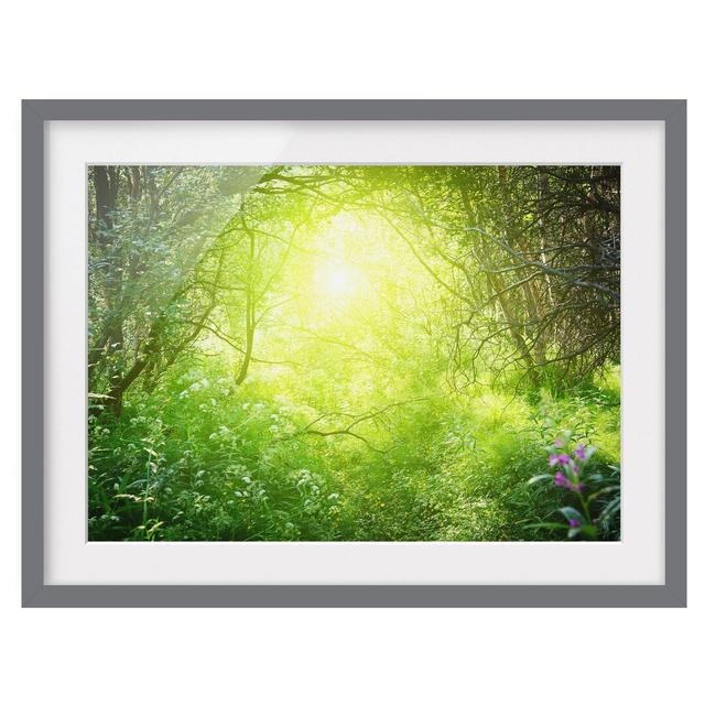 Dreamy Forest Framed Graphic Art Print East Urban Home Size: 40cm H x 55cm W, Frame Options: Matt grey on Productcaster.