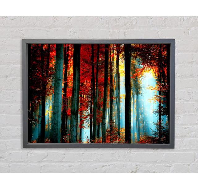 Blue Light Through The Orange Woodland - Print Union Rustic Size: 84.1cm H x 118.9cm W on Productcaster.