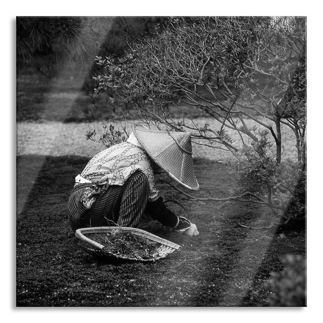 Japanese Gardener at Work - Unframed Photograph on Glass Brayden Studio Size: 60cm H x 60cm W x 0.4cm D on Productcaster.