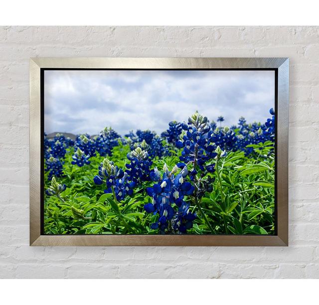 Bue Flowers On Green Stems Framed Print Ebern Designs Size: 42'' H x 59.7'' W x 3.4'' D on Productcaster.