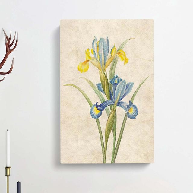 Spanish Iris Flowers by Pierre-Joseph Redoute - Wrapped Canvas Painting Print East Urban Home Size: 60cm H x 40cm W x 3cm D on Productcaster.