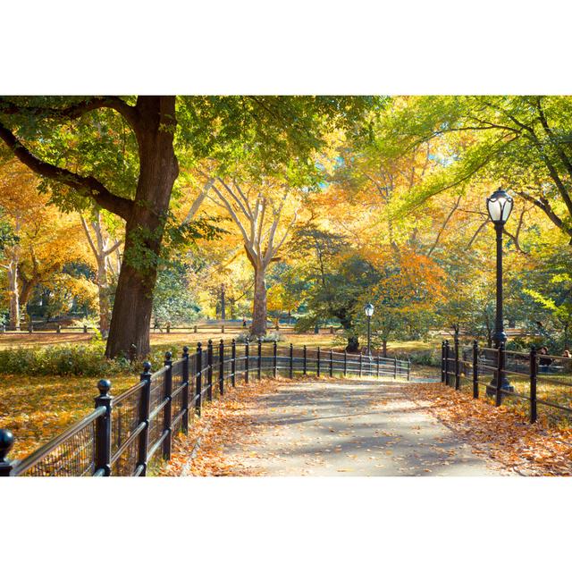 Central Park Fall by Littleny - Wrapped Canvas Photograph Ebern Designs Size: 81cm H x 122cm W x 3.8cm D on Productcaster.