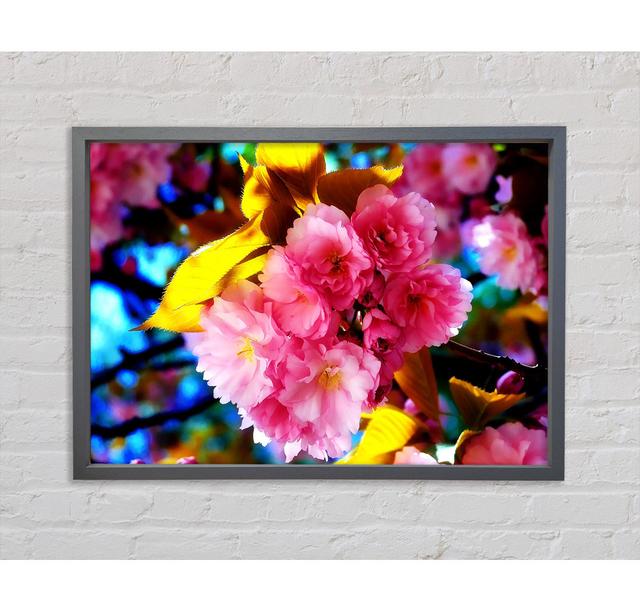 Beautiful Cherry Blossom Bunch - Single Picture Frame Print Brayden Studio Size: 59.7cm H x 84.1cm W x 3.3cm D, Format: Dark Grey Framed Canvas on Productcaster.