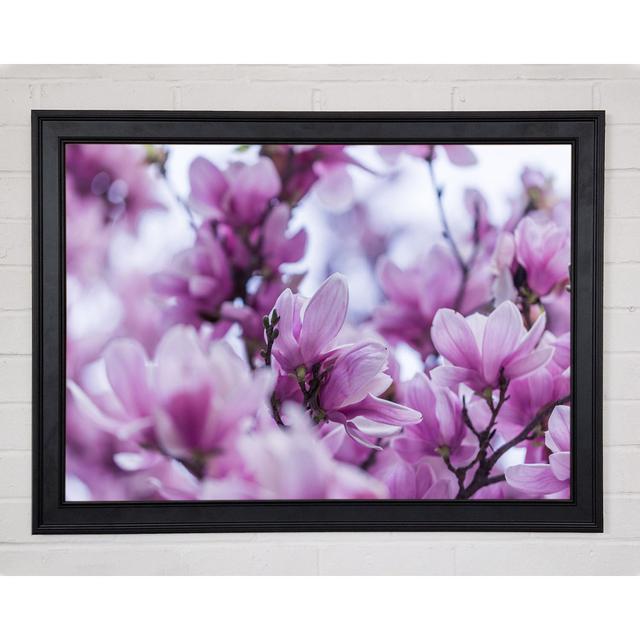 Lilac Flowers Striking Detail Framed Print Ebern Designs Size: 59.7cm H x 84.1cm W x 1.5cm D on Productcaster.