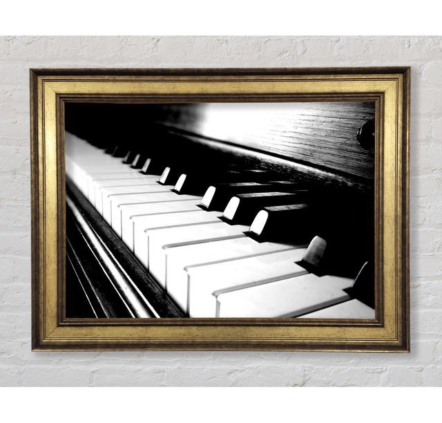 Ebony And Ivory - Single Picture Frame Art Prints Bright Star Size: 100cm H x 141.4cm W x 8cm D on Productcaster.