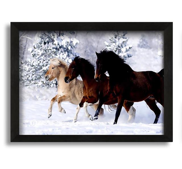 Wild Winter Horses Running - Picture Frame Photograph on Canvas Natur Pur Size: 30cm H x 42cm W x 10cm D on Productcaster.