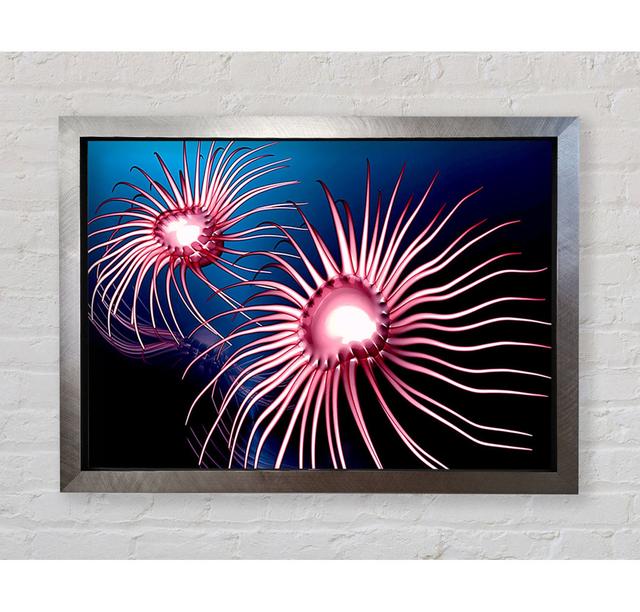 Jellyfish Swirl - Single Picture Frame Art Prints Bright Star Size: 59.7cm H x 84.1cm W x 3.4cm D on Productcaster.