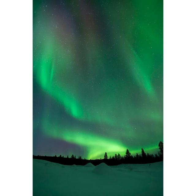 Aurora Borealis by Sara_Winter - Wrapped Canvas Art Prints 17 Stories Size: 91cm H x 61cm W x 3.8cm D on Productcaster.