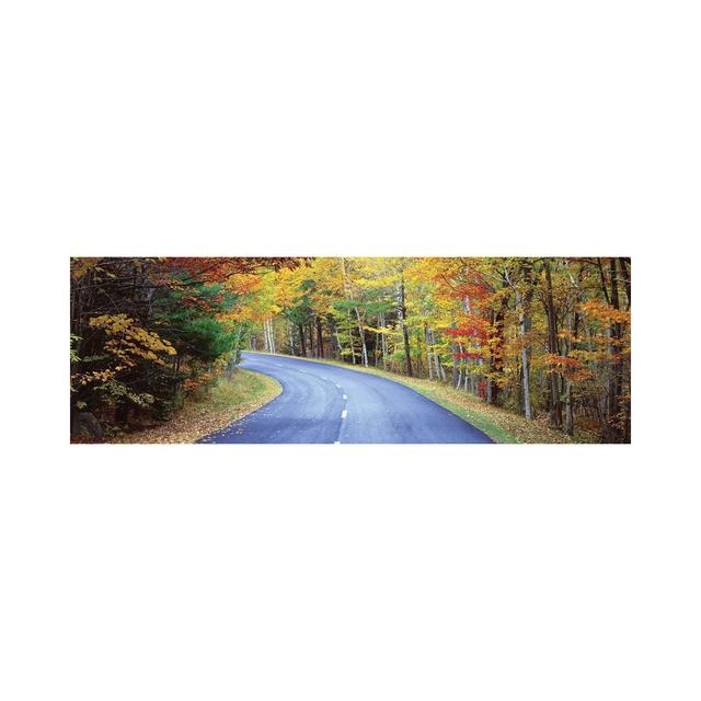 Road Passing Through A Forest, Park Loop Road, Acadia National Park, Maine, USA by Panoramic Images - Wrapped Canvas Panoramic Print Union Rustic Size on Productcaster.