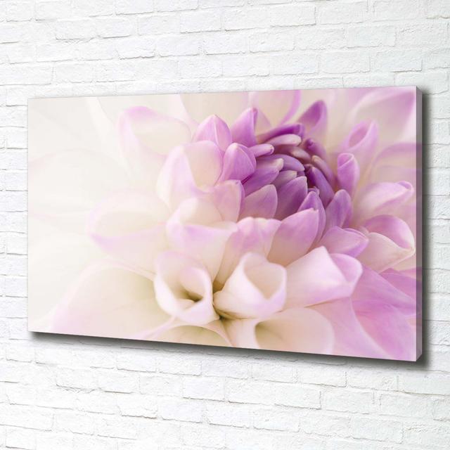 White Dahlia Flower Violet Head - Wrapped Canvas Graphic Art Ebern Designs Size: 70 cm H x 100 cm W x 2 cm D on Productcaster.