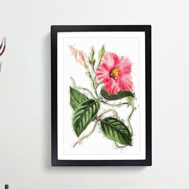 Pink Rocktrumpet Flowers - Picture Frame Painting Print East Urban Home Frame Option: Black Framed, Size: 36cm H x 27cm W x 2cm D on Productcaster.