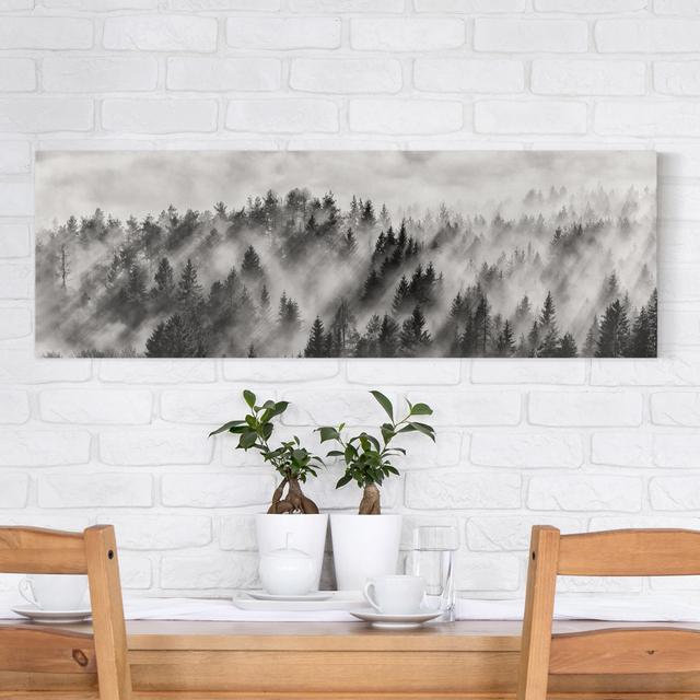 Lichtstrahlen Im Nadelwald by Kein Künstler - Wrapped Canvas Print Bilderwelten Size: 60cm H x 180cm B on Productcaster.