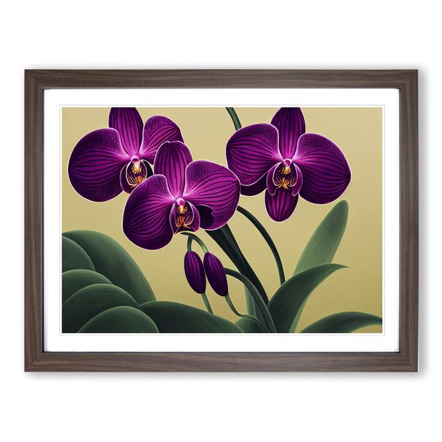 Sacred Orchid Flowers - Picture Frame Graphic Art 17 Stories Size: 46cm H x 64cm W x 2cm D, Frame Colour: Walnut Framed on Productcaster.