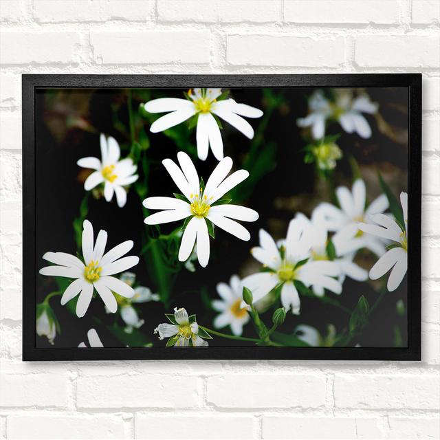 White Garden Daisies - Closed Corner Frame Art Prints on Wood ClassicLiving Size: 29.7cm H x 42cm W on Productcaster.