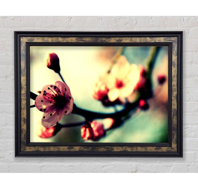 Cherry Blossom In Spring Framed Print Bright Star Size: 59.7cm H x 84.1cm W x 8cm D on Productcaster.