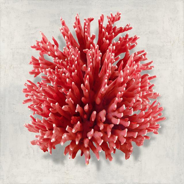 Coral Red I House of Hampton Size: 51cm H x 51cm W on Productcaster.