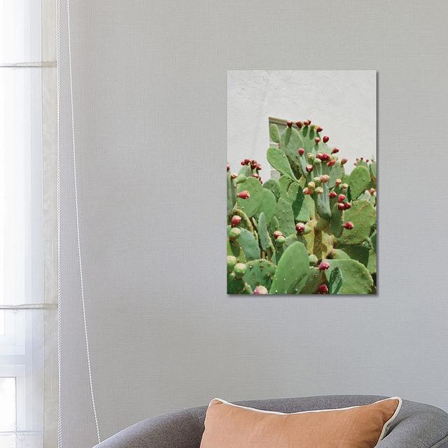 Desert Cactus II by Bethany Young - Gallery-Wrapped Canvas Giclée on Canvas Latitude Vive Format: No Frame, Size: 66.04cm H x 45.72cm W x 1.905cm D on Productcaster.