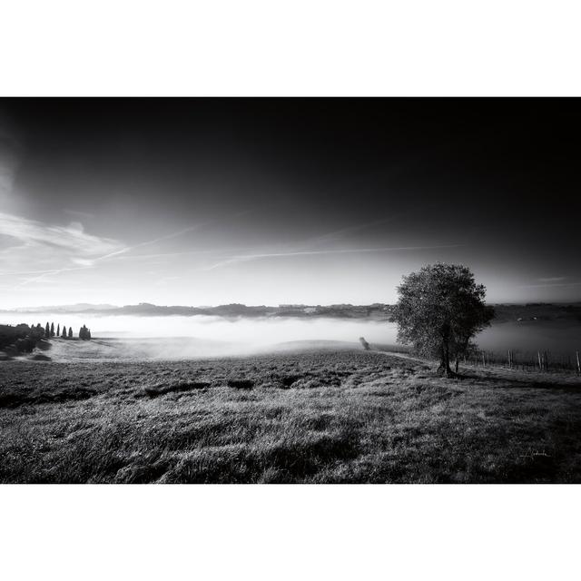 Valley Fog by Aledanda - Wrapped Canvas Photograph Rosalind Wheeler Size: 30cm H x 46cm W on Productcaster.