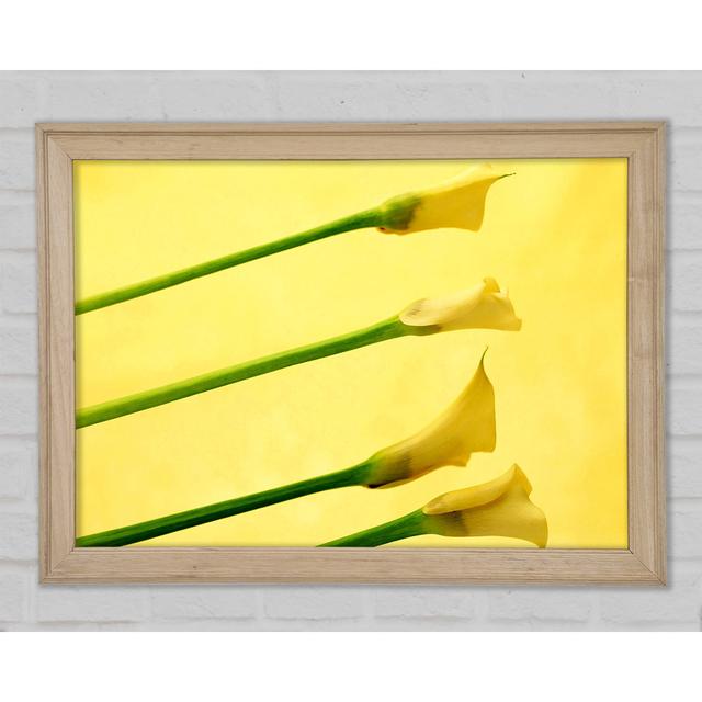 Yellow Trumpet Flowers - Single Picture Frame Art Prints Ebern Designs Size: 29.7cm H x 42cm W on Productcaster.