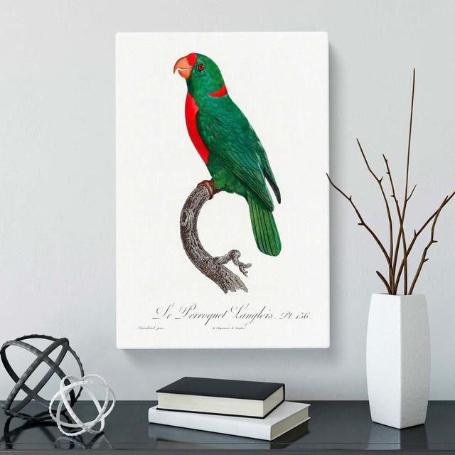 Parrot by F. Levaillant - Wrapped Canvas Painting Print East Urban Home Size: 50cm H x 35cm W x 3cm D on Productcaster.