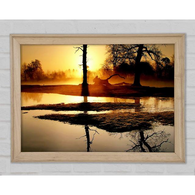 Golden Lake Sunset Framed Print Union Rustic Size: 59.7cm H x 84.1cm W x 1.5cm D on Productcaster.