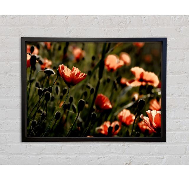 Light Of A New Day - Single Picture Frame Art Prints on Canvas Bright Star Size: 84.1cm H x 118.9cm W on Productcaster.