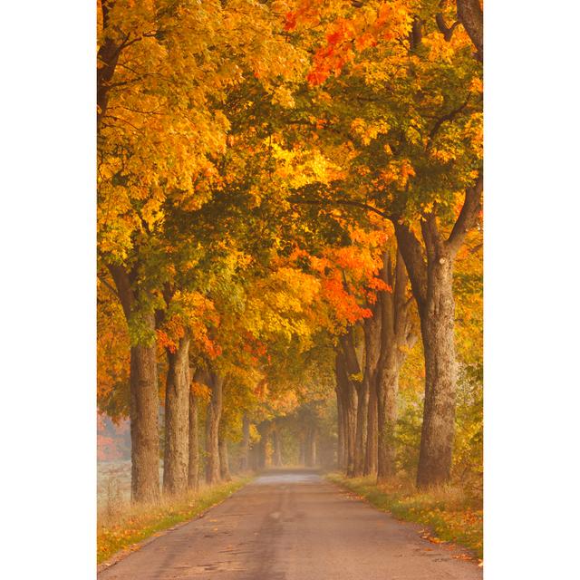 Autumn Road - Wrapped Canvas Photograph Union Rustic Size: 46cm H x 30cm W x 3.8cm D on Productcaster.