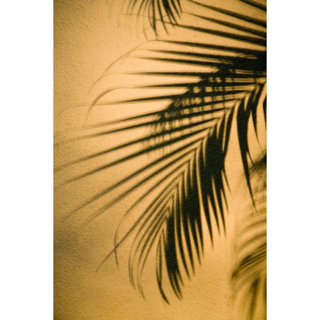 Palm Tree Shadow von Tomatopictures - Leinwanddrucke Sansibar Home Größe: 60 cm H x 40 cm B on Productcaster.