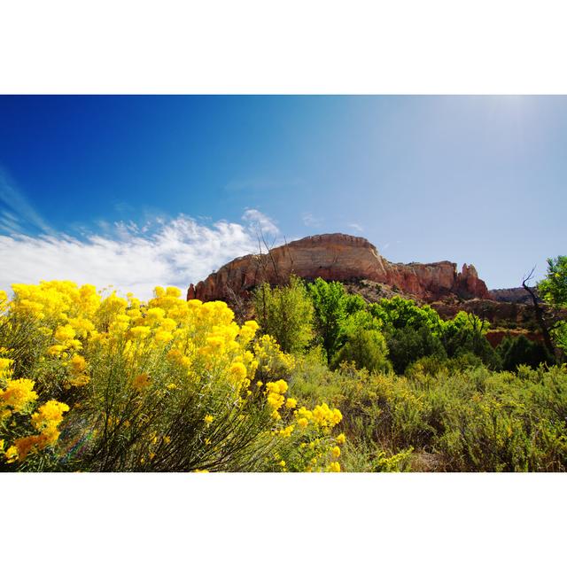 Ghost Ranch by JannHuizenga - No Frame Art Prints on Canvas 17 Stories Size: 90cm H x 60cm W on Productcaster.