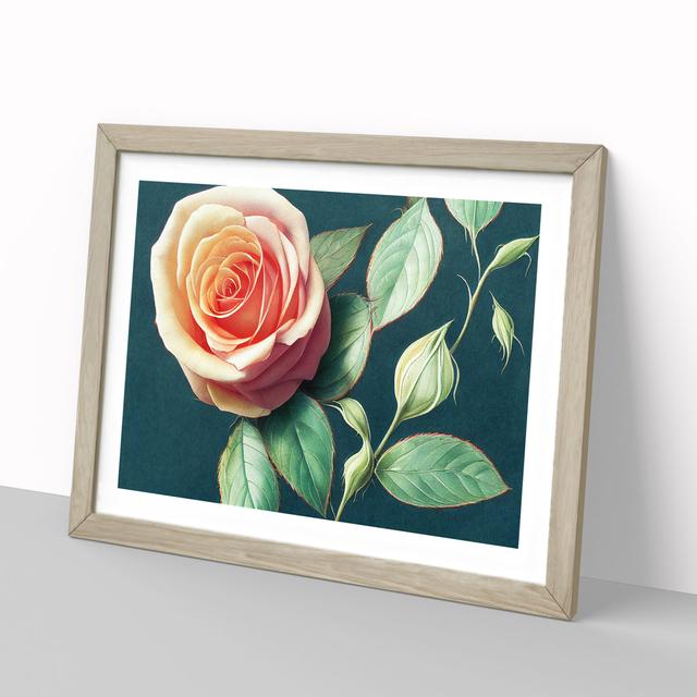 Super Rose Flower - Picture Frame Graphic Art Marlow Home Co. Size: 46cm H x 64cm W x 2cm D, Frame Colour: Oak on Productcaster.