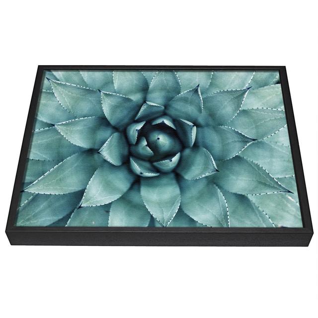 Green Cool Zen Plant - Single Picture Frame Art Prints on Canvas Latitude Vive Size: 66cm H x 106.6cm W x 10cm D on Productcaster.