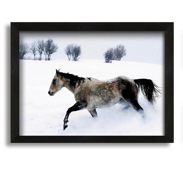 Stallion in the Snow - Picture Frame Graphic Art on Canvas Natur Pur Size: 21cm H x 30cm W x 10cm D on Productcaster.