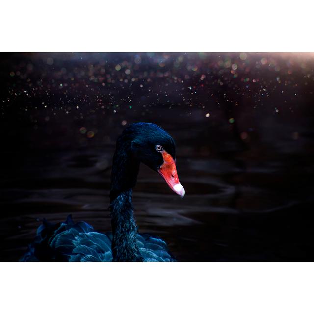 Black Swan by La_Corivo - Wrapped Canvas Print 17 Stories Size: 30cm H x 46cm W on Productcaster.