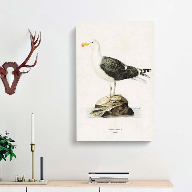 Great Black-Backed Gull by Von Wright - Wrapped Canvas Painting Print East Urban Home Size: 50cm H x 35cm W x 3cm D on Productcaster.