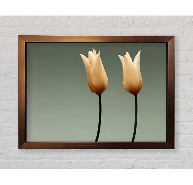 Stunning Cream Tulips - Single Picture Frame Art Prints Bright Star Size: 100cm H x 141.4cm W x 3.4cm D on Productcaster.