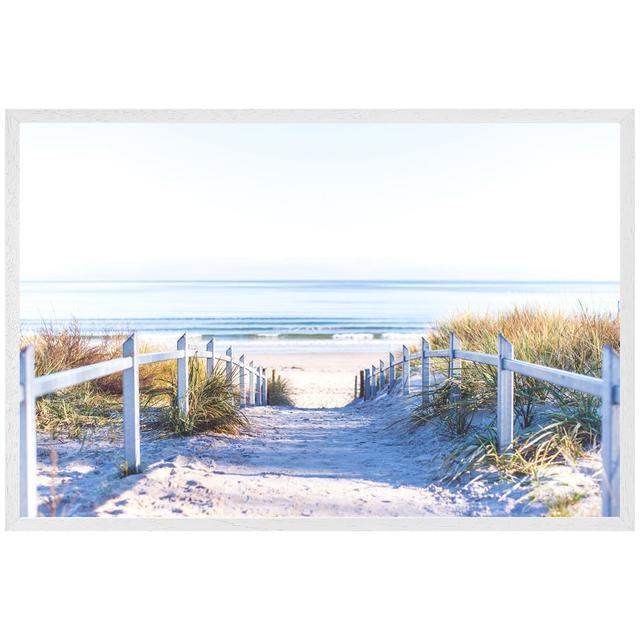 Delvalle Path to the Beach at Baltic Sea - Single Picture Frame Art Prints House of Hampton Size: 25cm H x 31cm W x 4cm D, Frame Option: White Framed on Productcaster.