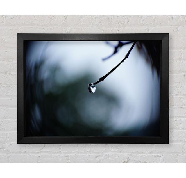 Singele Droplet On A Twig - Single Picture Frame Art Prints Brayden Studio Size: 100cm H x 84.1cm W x 3.4cm D, Format: Black Framed Paper on Productcaster.