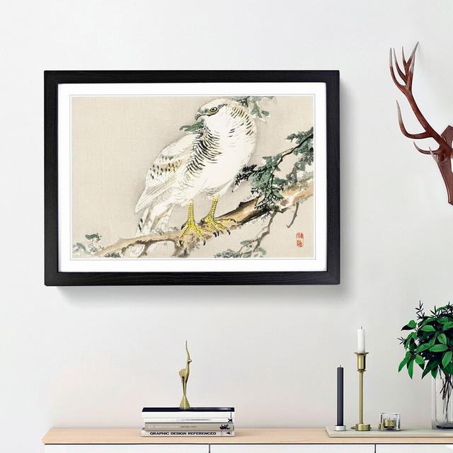 Northern Mockingbird by Kono Baireir - Picture Frame Painting Print East Urban Home Size: 48cm H x 65cm W x 2cm D, Frame Option: Black Framed on Productcaster.