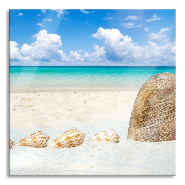 Sandy Beach with Shells - Unframed Photograph on Glass Highland Dunes Size: 80cm H x 80cm W x 0.4cm D on Productcaster.