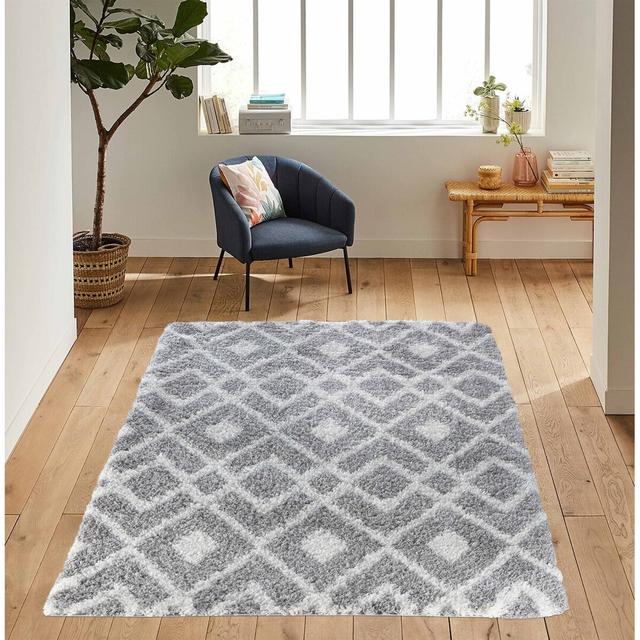 Teme Shaggy Grey Indoor/Outdoor Rug Gracie Oaks Rug Size: Rectangle 160 x 230cm on Productcaster.