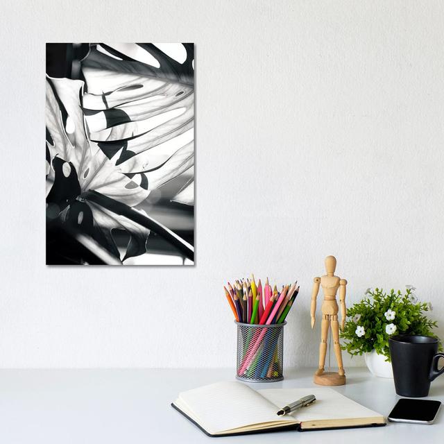 Mono Leaves by Honeymoon Hotel - Wrapped Canvas Painting Bay Isle Home Size: 30.4cm H x 20.3cm W x 1.9cm D on Productcaster.