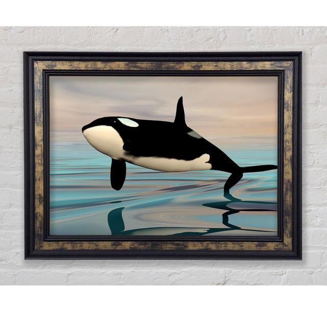 Killer Whale Jump - Single Picture Frame Art Prints Bright Star Size: 59.7cm H x 84.1cm W x 8cm D on Productcaster.