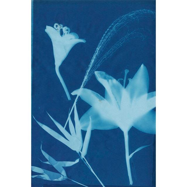 Cyanotype No.19 by Jenna Guthrie - Wrapped Canvas Painting Rosalind Wheeler Size: 122cm H x 81cm W on Productcaster.