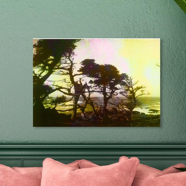 California Cypress 1 - Wrapped Canvas Print East Urban Home Size: 41 cm H x 61 cm W on Productcaster.