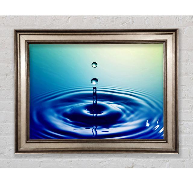 Single Picture Frame Art Prints Bright Star Size: 42cm H x 59.7cm W on Productcaster.