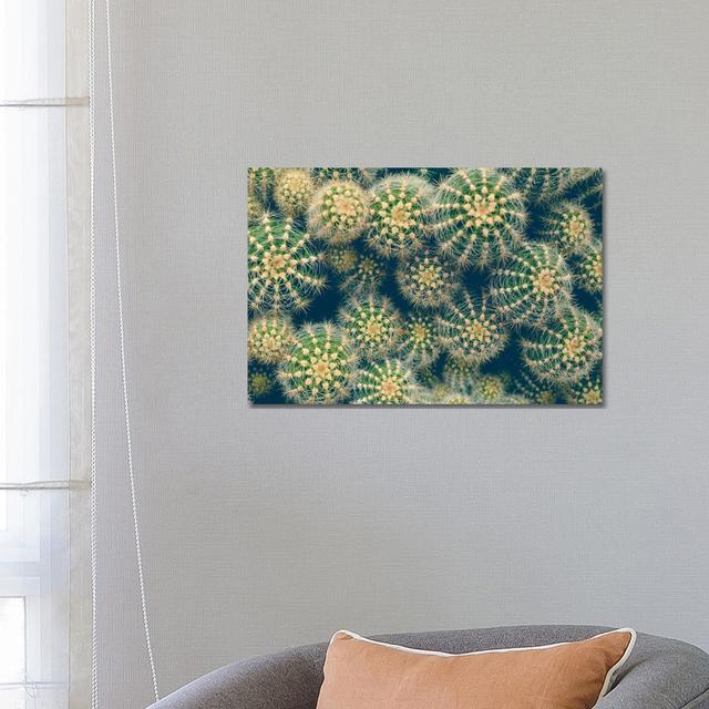 Cactus by Olivia Joy StClaire - Wrapped Canvas Print Natur Pur Size: 45.72cm H x 66.04cm W x 1.91cm D on Productcaster.