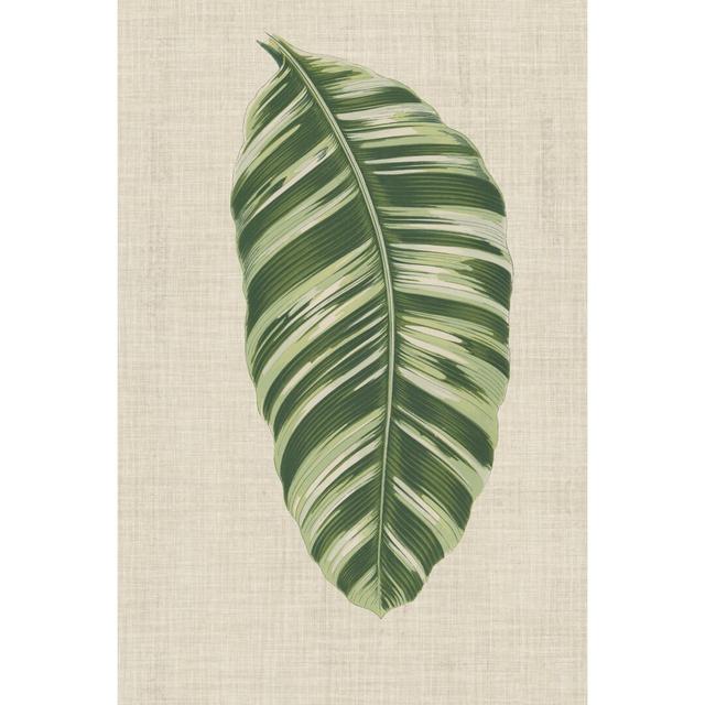 Leaves on Linen VI - Wrapped Canvas Graphic Art 17 Stories Size: 30cm H x 20cm W on Productcaster.