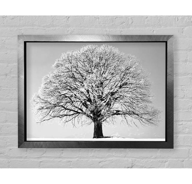 Winter Snow Tree B N W - Single Picture Frame Art Prints Bright Star Size: 59.7cm H x 84.1cm W x 3.4cm D on Productcaster.