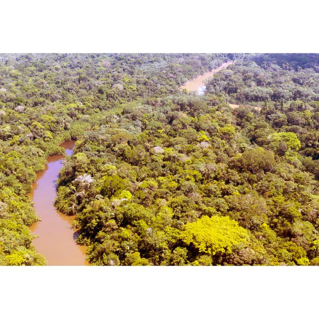 Apolinario Amazon Rainforest by Atelopus - Wrapped Canvas Photograph Alpen Home Size: 81cm H x 122cm W x 3.8cm D on Productcaster.